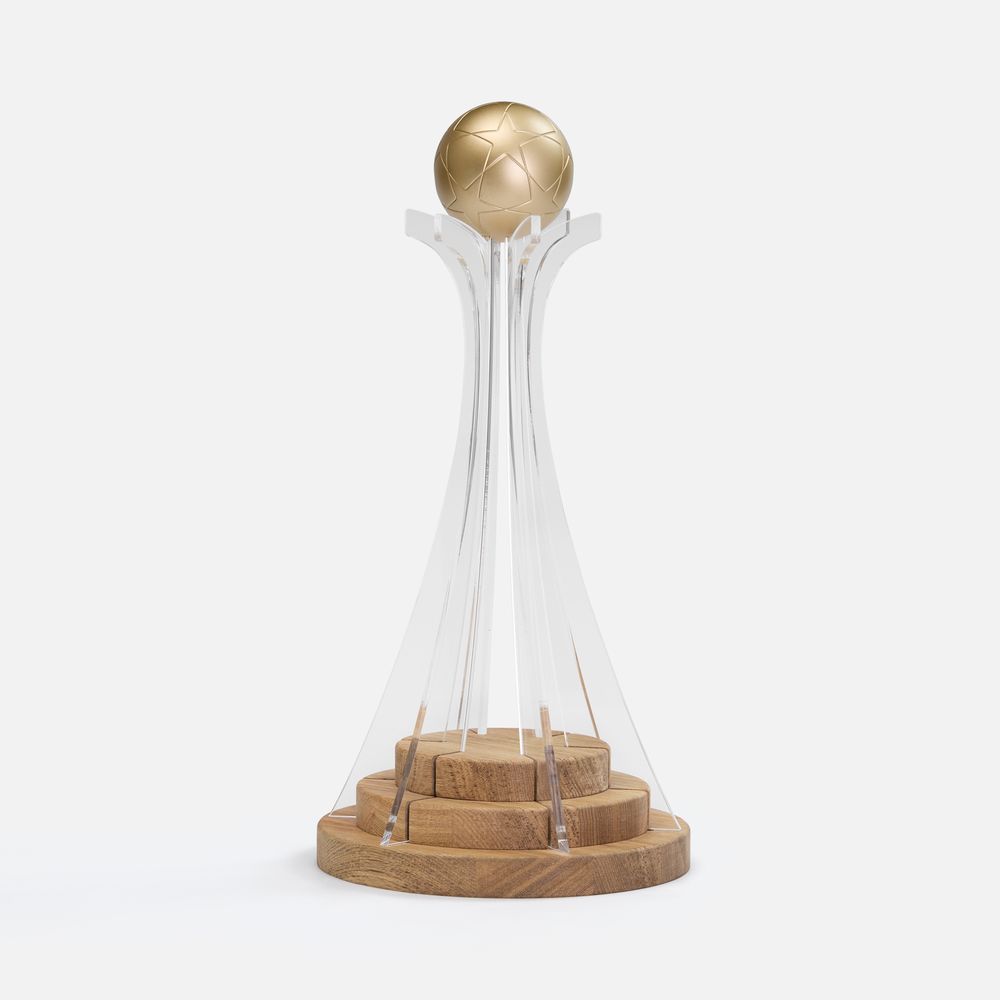Кубок Everball, c 3D элементами, Кубок Everball c 3D-элементами
