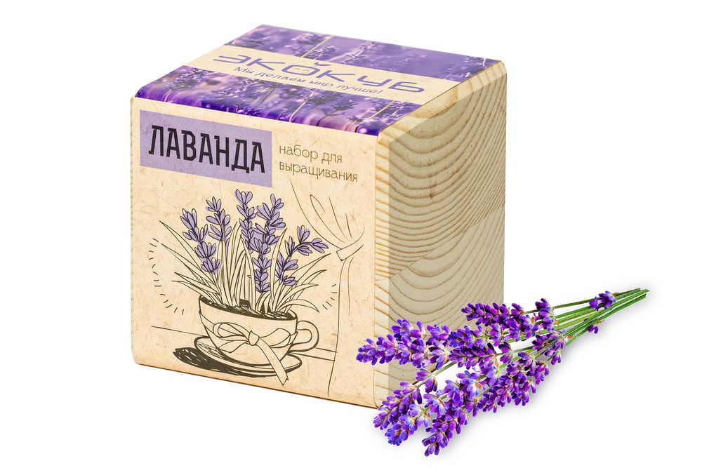 Набор для выращивания «Экокуб», лаванда, 3416